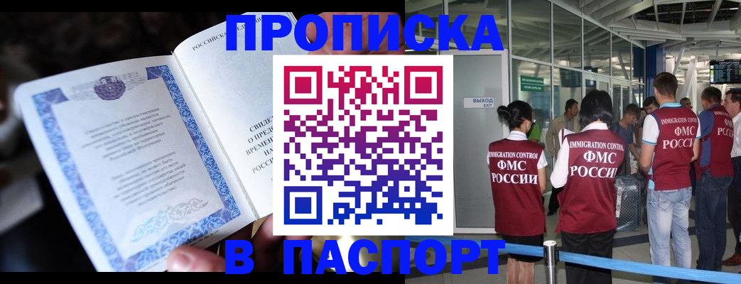 временная регистрация поиск в Коле